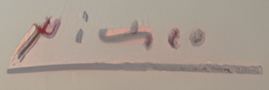 Pablo Picasso Picasso lithograph study authentication evidence image 4