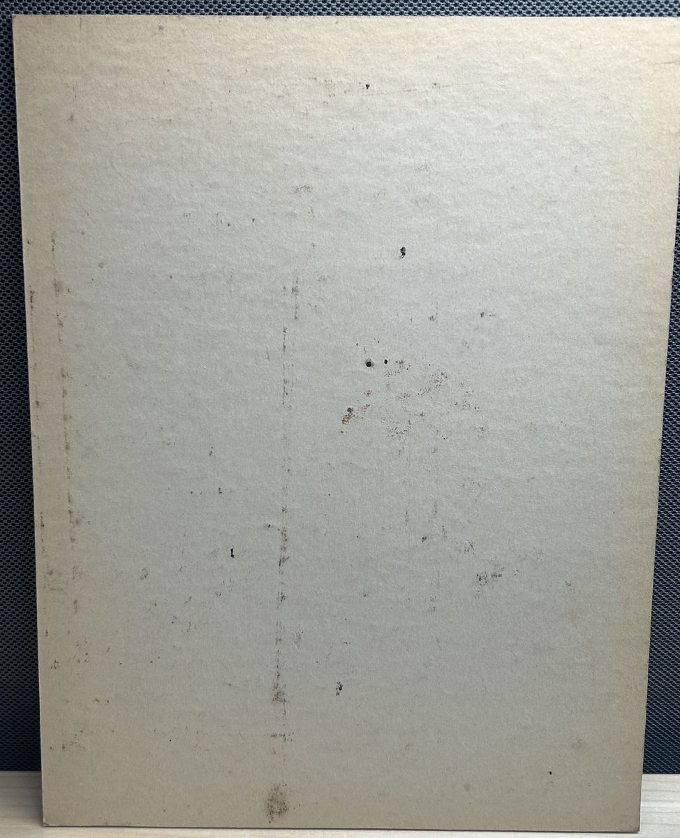 Pablo Picasso Mother Child authentication evidence image 5