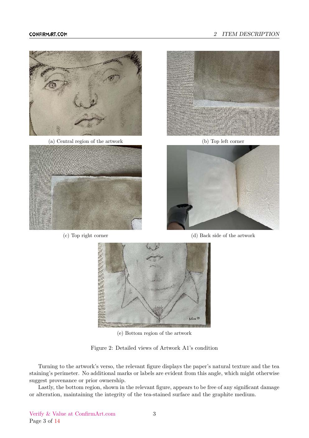 Man on fedora report sample page 3