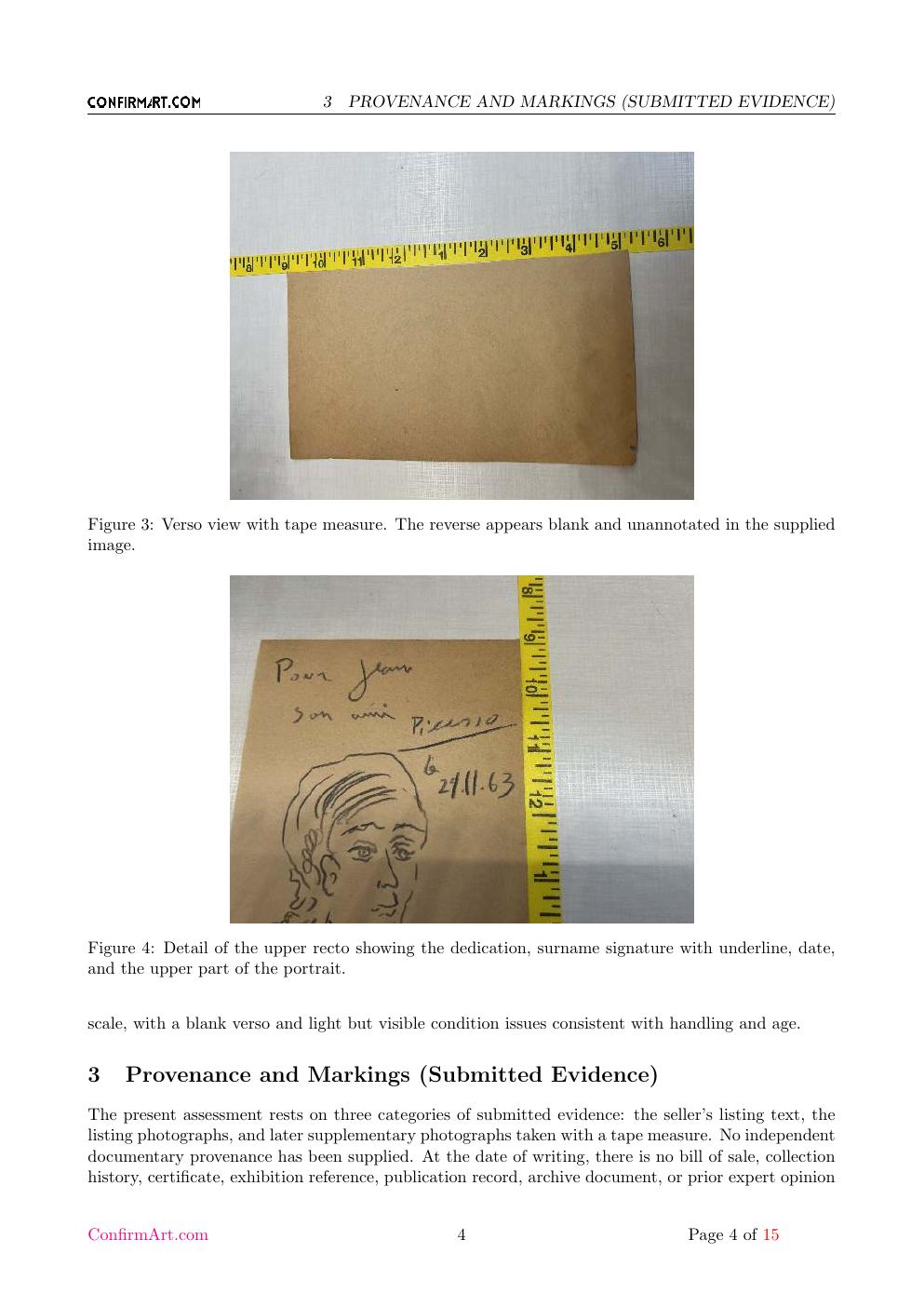 Picasso inscription study report sample page 4