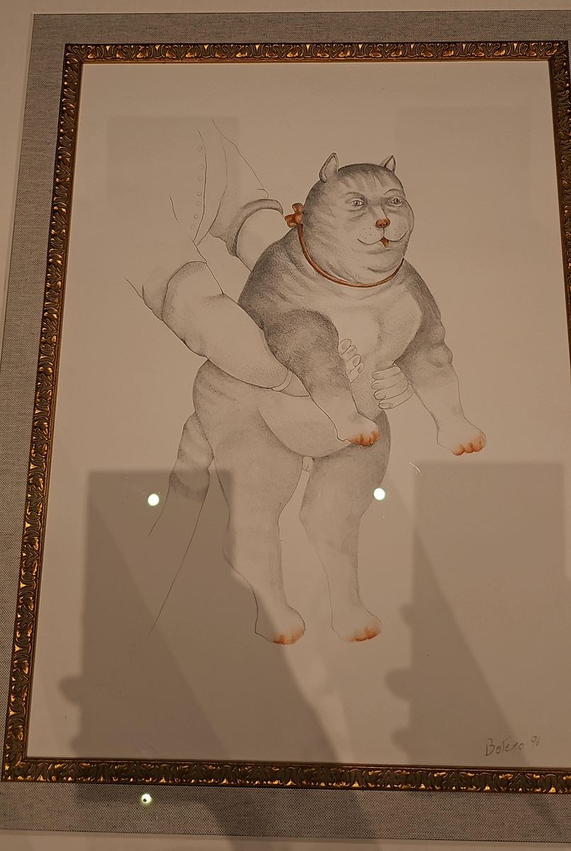 Gato: Emotional and Conceptual Interpretation