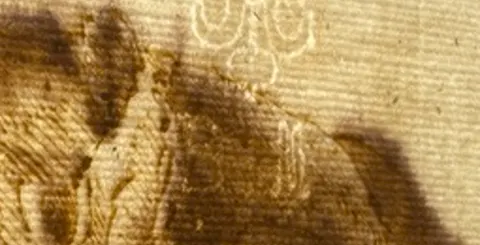 The same transmitted-light photograph turned 180 degrees, as a viewing test only.