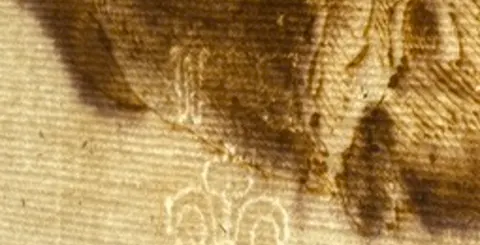 Unannotated transmitted-light photograph of bright, curved and lobed lines near an edge, as supplied.