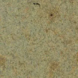 Blank paper area, catalogue scan (native).