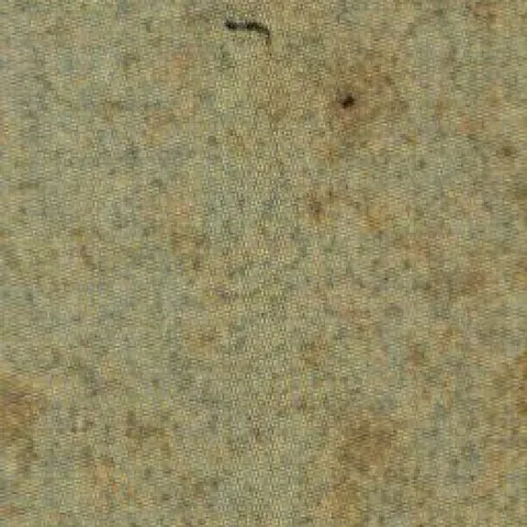 Blank paper area, catalogue scan (×3 nearest-neighbour).