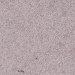 Blank paper area, RKD monochrome (native).