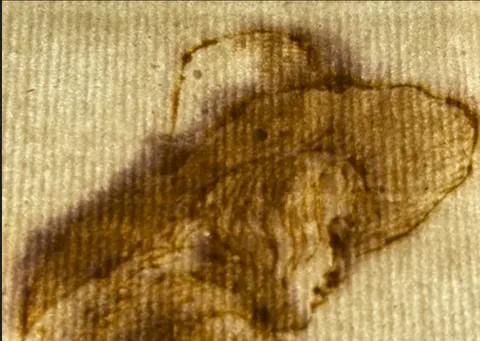 Hat area in transmitted light.