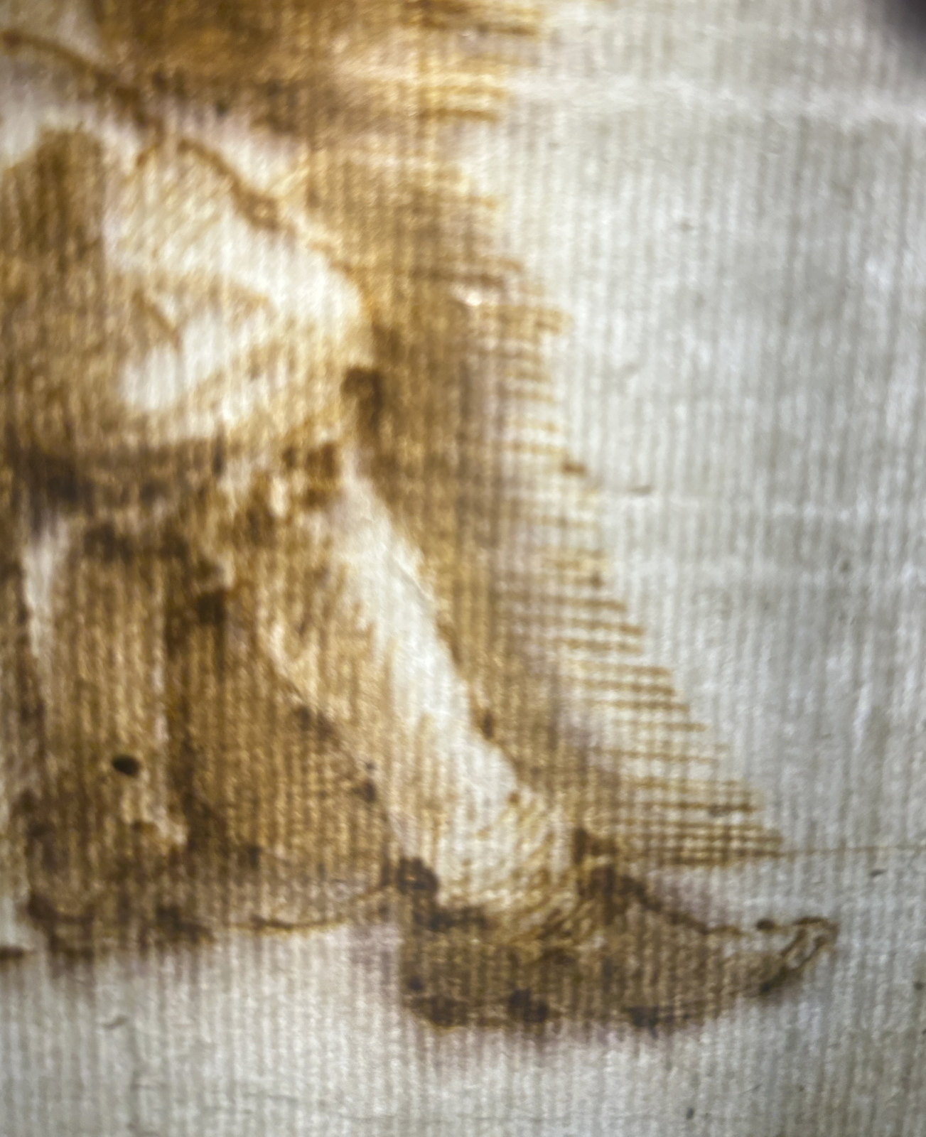 Close photograph of the projecting foot: heeled shoe with a pointed to squared-round toe, regular hatching on the shin, and a dark rounded cluster on the instep rather than a rectangular buckle. The photograph is slightly out of focus.