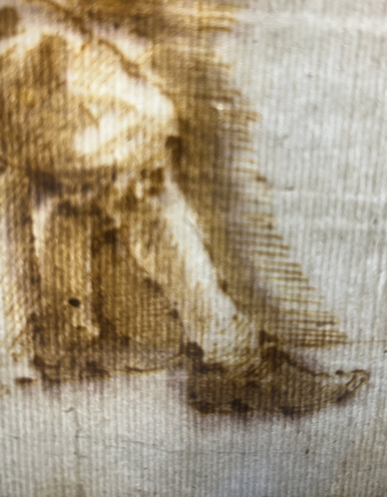 Second close photograph of the same projecting foot and instep, confirming a rounded dark fastening cluster rather than a geometric buckle. Slightly out of focus.