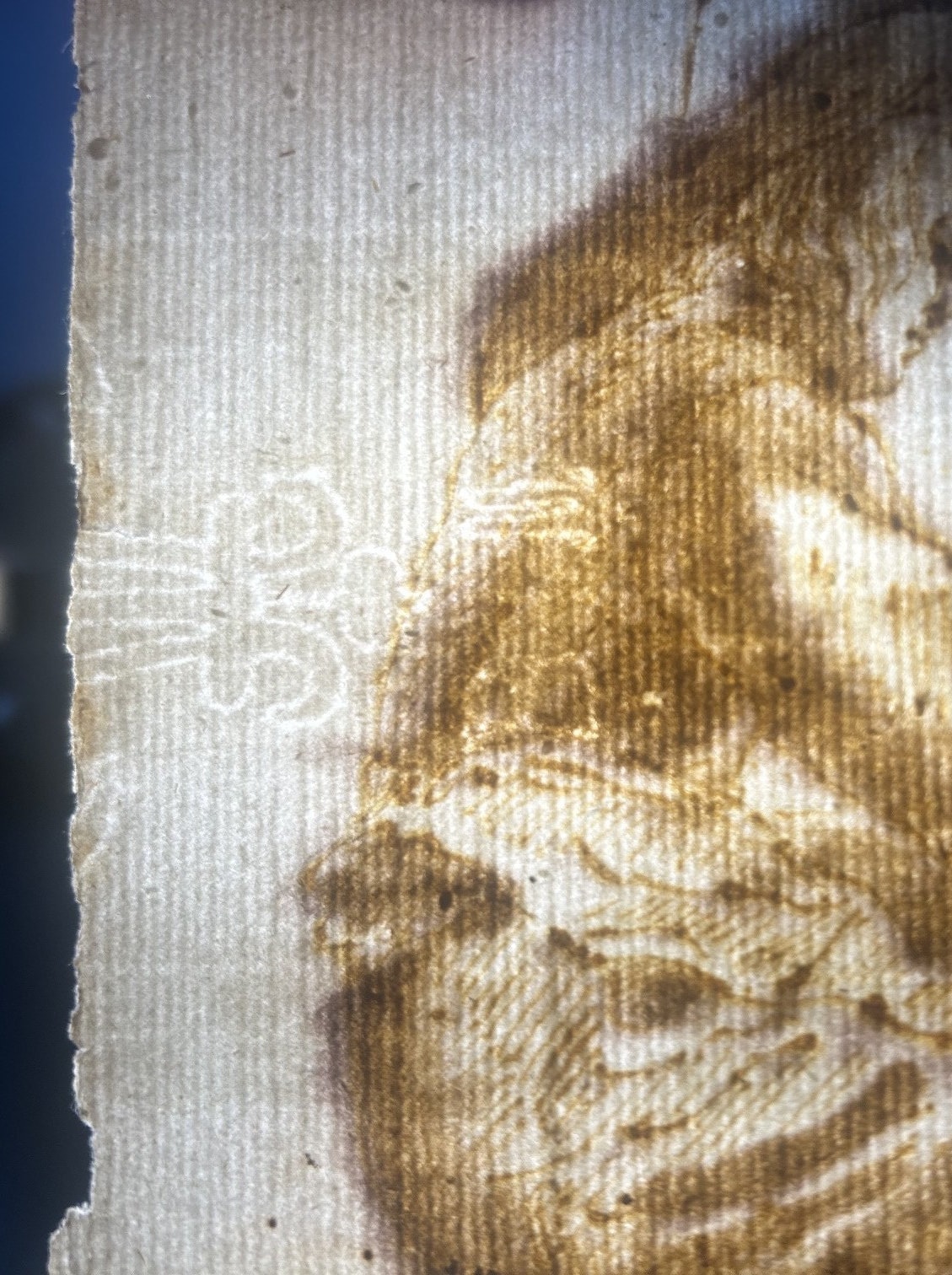 Transmitted-light photograph of the left edge of the sheet, showing laid lines and a truncated bright wire figure beside the sitter’s back, cut by the present edge.